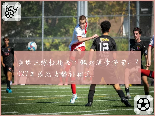 黄蜂三球拉梅洛·鲍尔进步停滞,2027年或沦为替补控卫